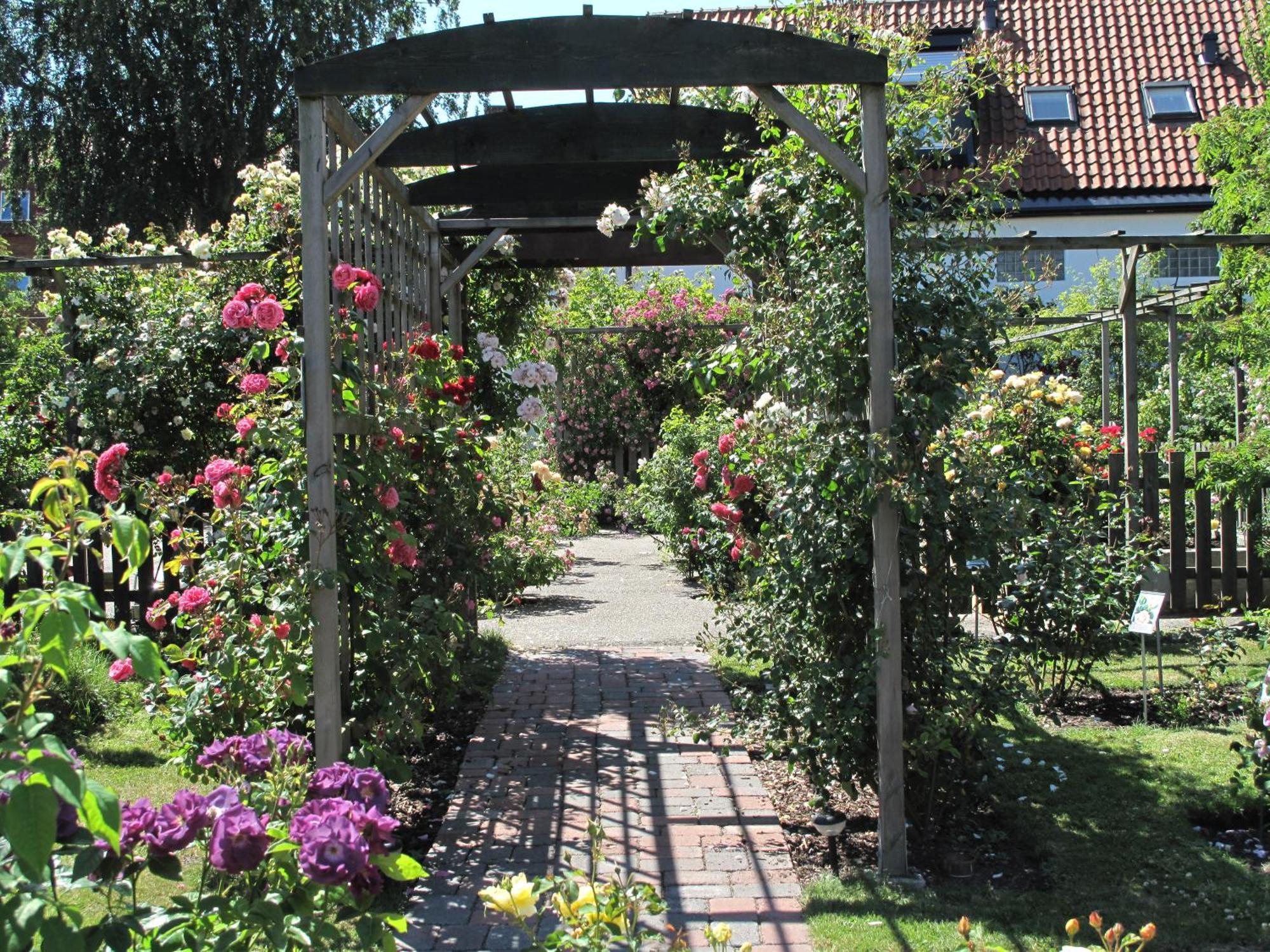 Hotell Turistgarden I Simrishamn Extérieur photo
